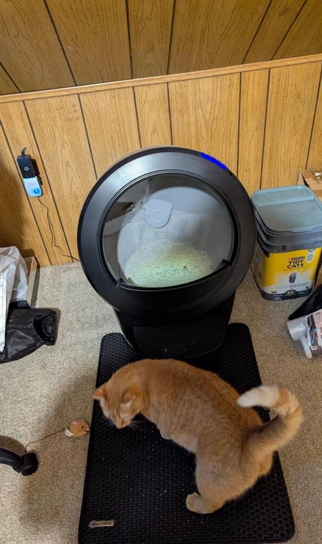 Smart self-cleaning cat litter box